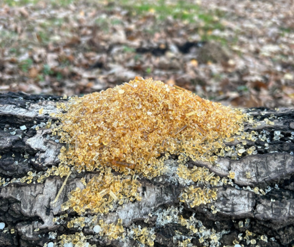 Biodegradowalny termoplastyczny materiał przeznaczony do aplikacji wtryskowych B-103