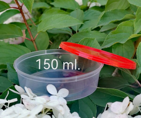 Komplet pojemnik 150 ml.  z wieczkiem z otworami