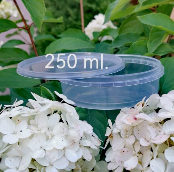 250 ml container set. with a slotted lid