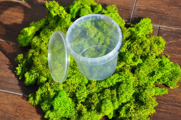 Set of 500 ml bucket + lid with seal