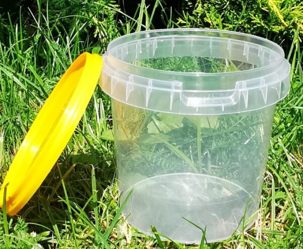 Set of 500 ml bucket + lid with seal